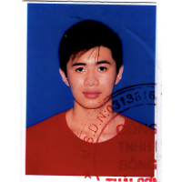 Kỳ Nguyễn Việt