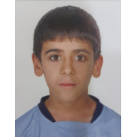 محمد شافع سوادي الفيحان