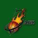 Basket Sags