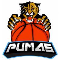 CD PUMAS OSORNO
