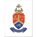 M-University of Pretoria