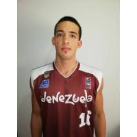 Luis Manuel Llamo Castro