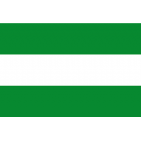 Cesar Juvenil Masculino