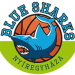 Nyiregyhaza Blue Sharks