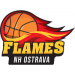 BK NH Tigers Ostrava