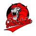 D4 - Gortata Politechnika