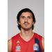 Nihad Dedovic