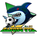 Grand AndamanRanong United