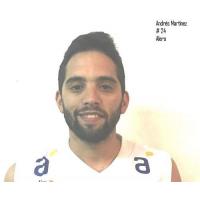 ANDRES MARTINEZ IRISARRI