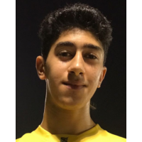 محمود محمد محفوظ هاشم