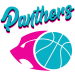 The Panthers