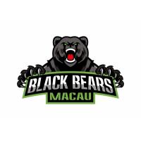 Black Bears