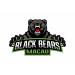 Black Bears
