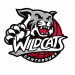 Alloyfold Canterbury Wildcats